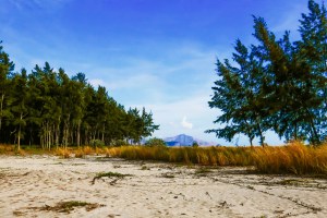 Vacation with my in-laws at Zambawood - San Narciso, Zambales. (LX100)