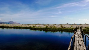 Vacation with my in-laws at Zambawood - San Narciso, Zambales. (LX100)
